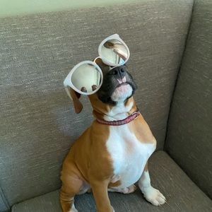 Meet your Posher, Sawyer